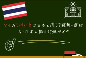 タイのうがい薬は日本と違う？種類・選び方・日本人向け対処ガイド