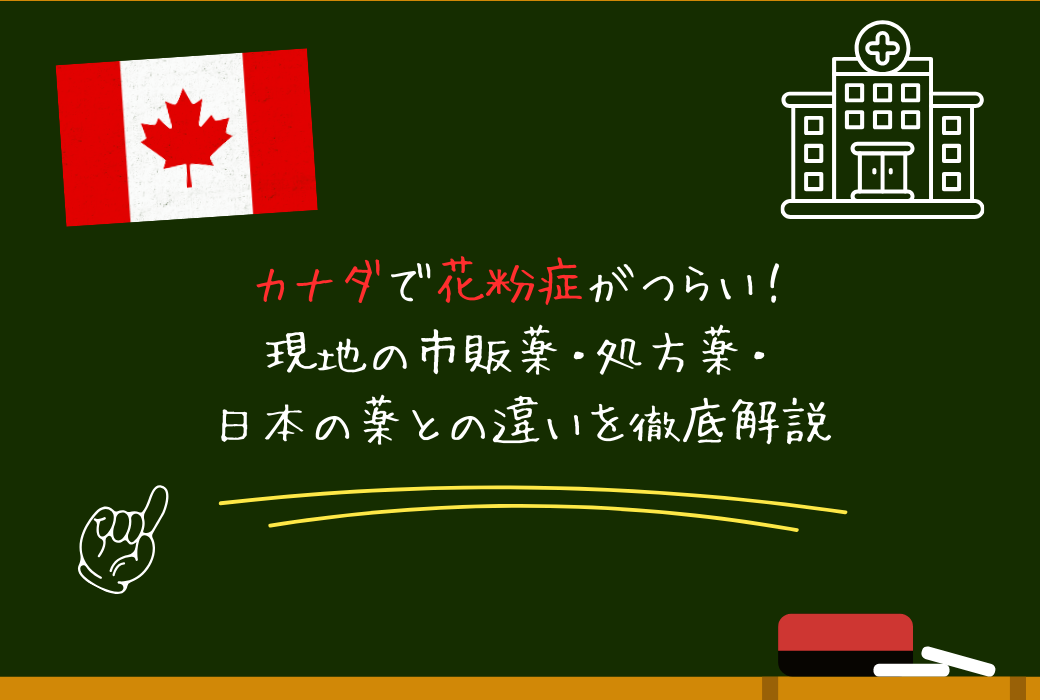 カナダで花粉症がつらい！｜現地の市販薬・処方薬・日本の薬との違いを徹底解説