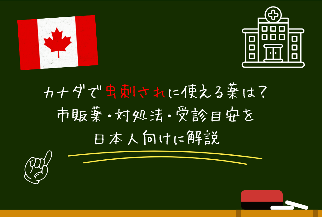 カナダで虫刺されに使える薬は？市販薬・対処法・受診目安を日本人向けに解説